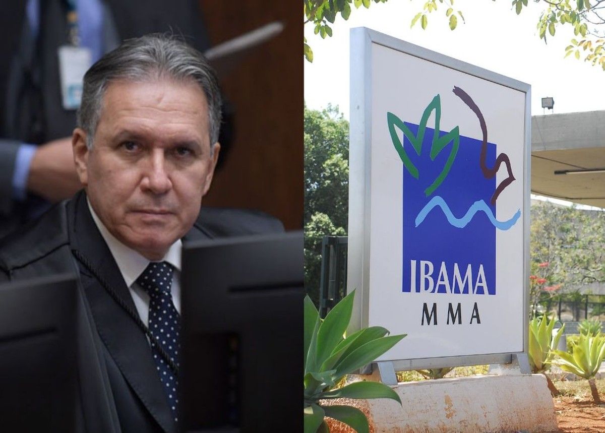 STJ decide que parecer da CTNBio impede Ibama de exigir licença ambiental em pesquisa com transgênicos