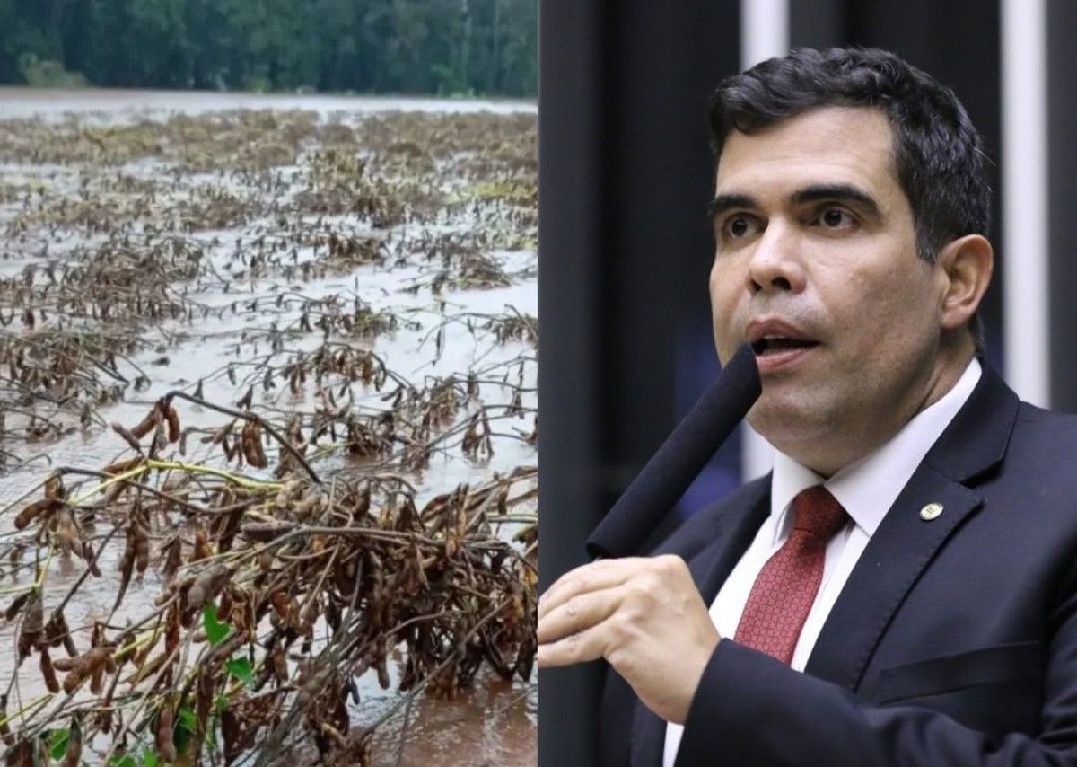 CCJ da Câmara aprova retroatividade no desconto do ITR