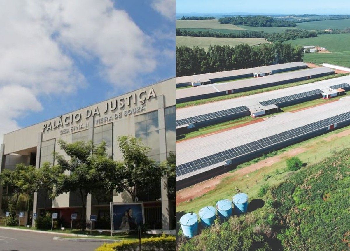 TJMT mantém condenação de construtora por vícios em aviários rurais 
