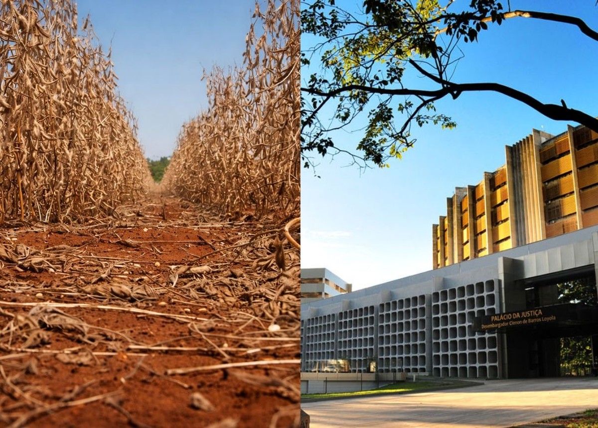 TJGO impede cobrança de 5 CPRs de produtor rural por frustração de safra