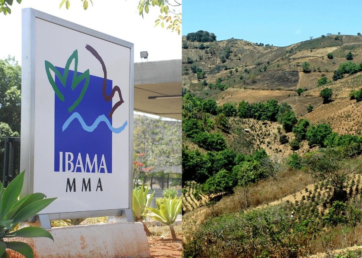Justiça Federal suspende auto de infração do Ibama por prescrição intercorrente