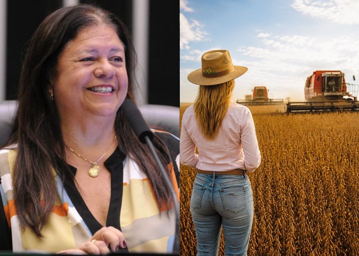 Câmara aprova PL 2291/22 e amplia crédito para mulheres agricultoras chefes de família