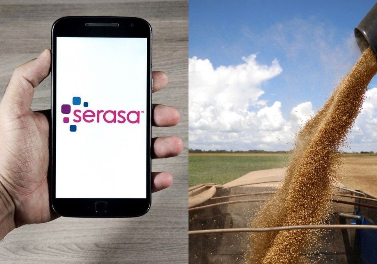 Serasa Experian aponta 8,2% de inadimplência rural no quarto trimestre de 2025
