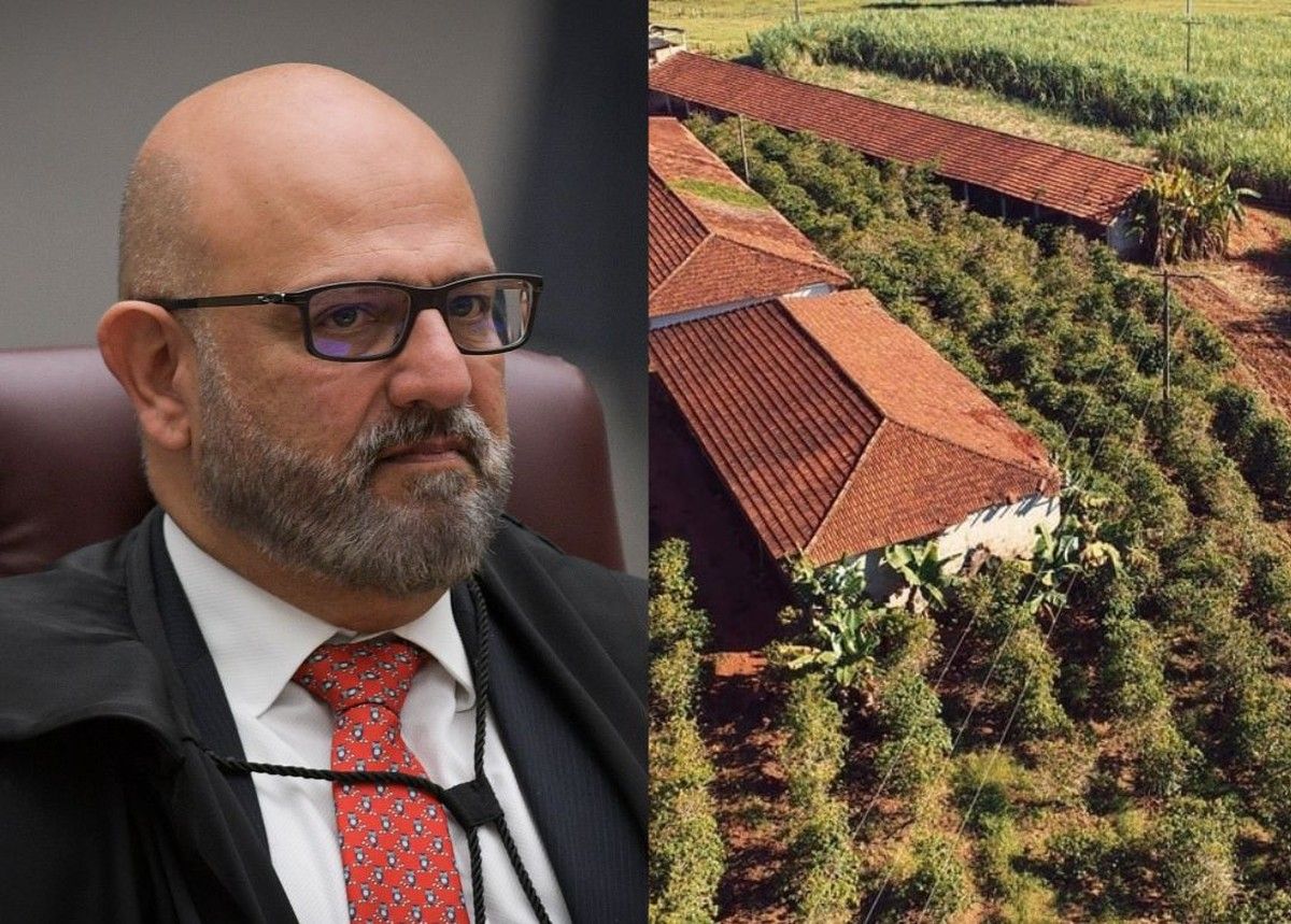 STJ afasta fraude à execução em penhora de imóvel adquirido por usucapião