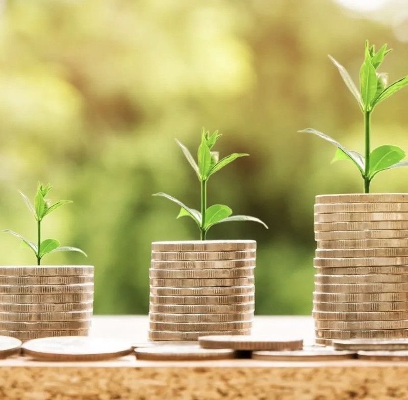 O MCR 2.6.4 como instrumento de política agrícola: função social, proteção ao produtor e os equívocos do contencioso