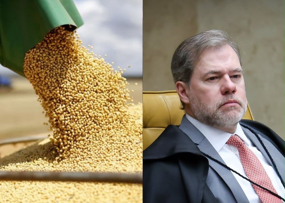 Moratória da Soja volta ao STF após o fracasso das tratativas conduzidas pelo Nusol 