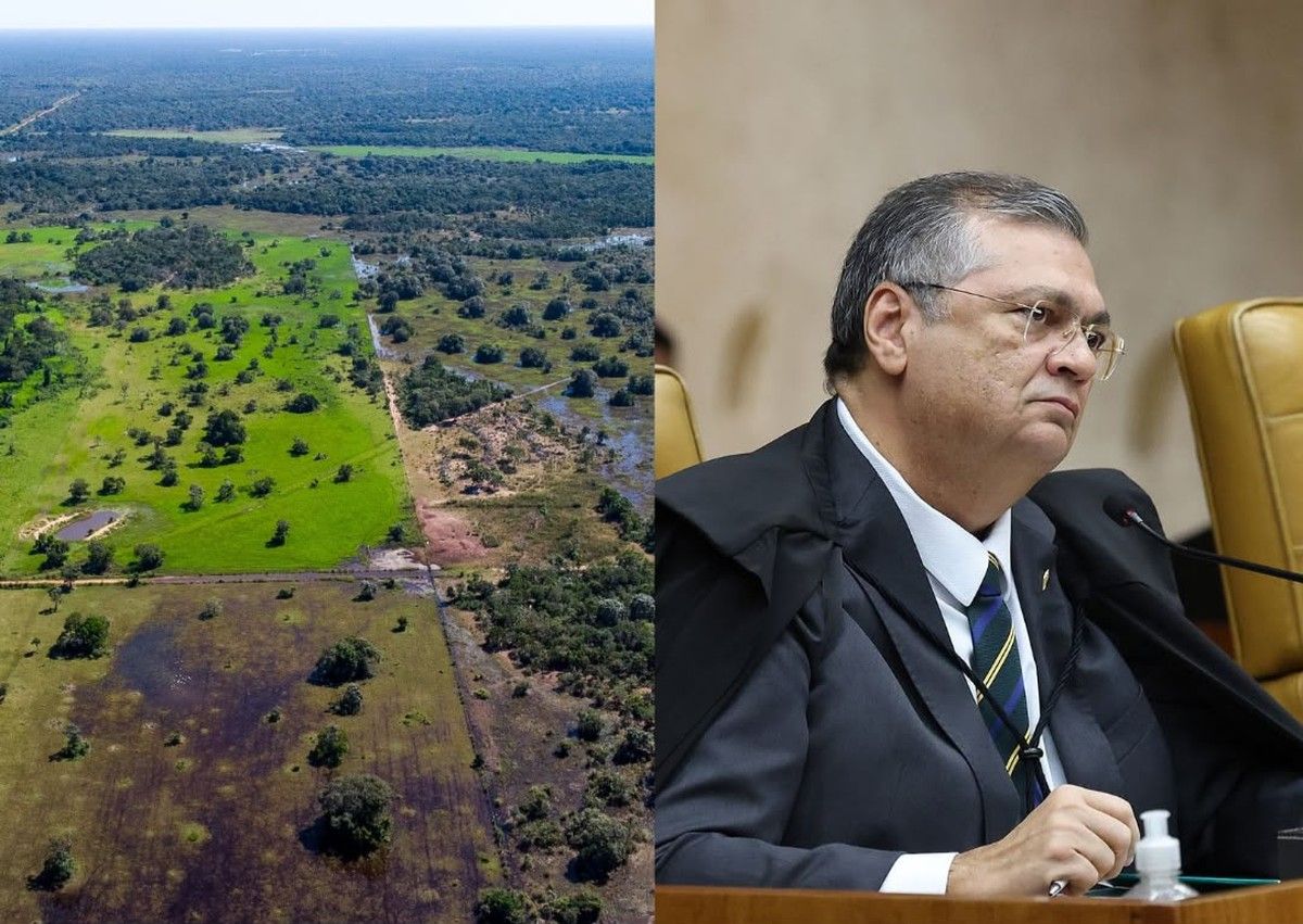 Ministro Flávio Dino homologa acordo entre Mato Grosso e Pará sobre regularização fundiária em área disputada