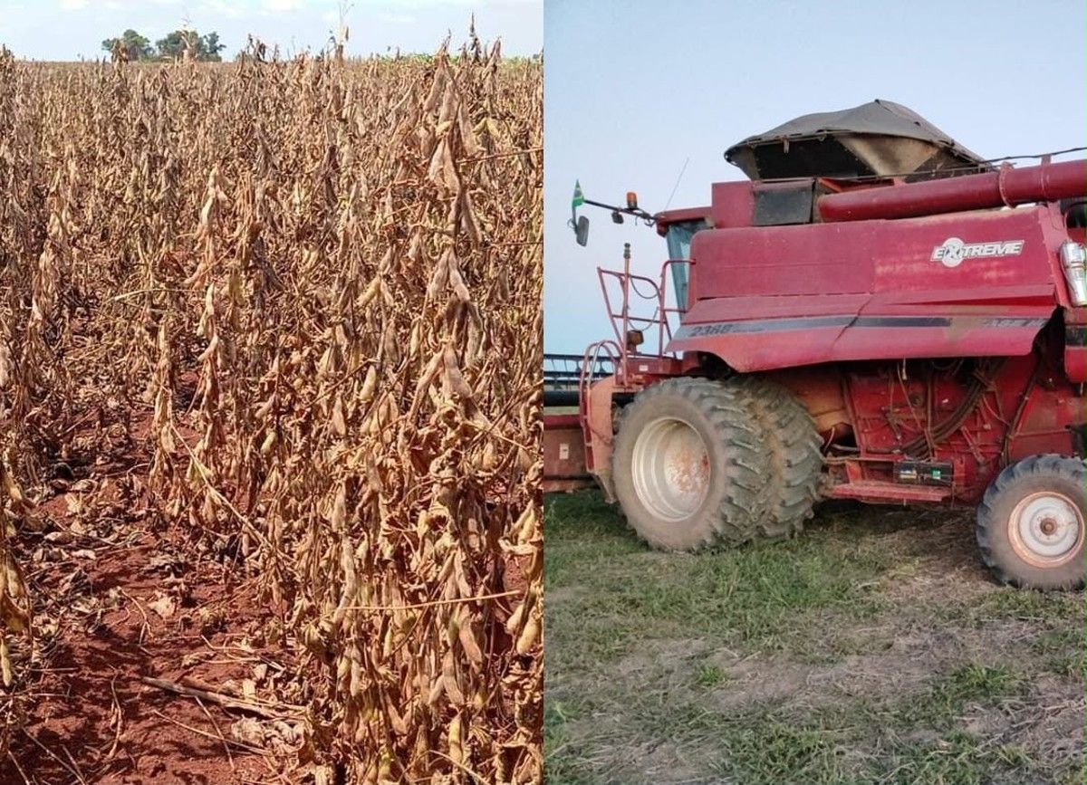 Vara Cível impede busca e apreensão de colheitadeiras e suspende cobrança de dívida rural milionária  