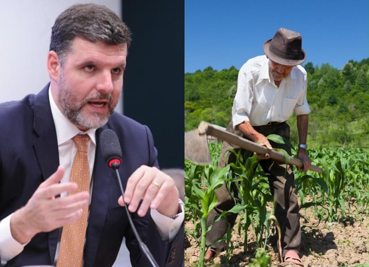 CCJ aprova projeto que reduz burocracia para agricultura familiar