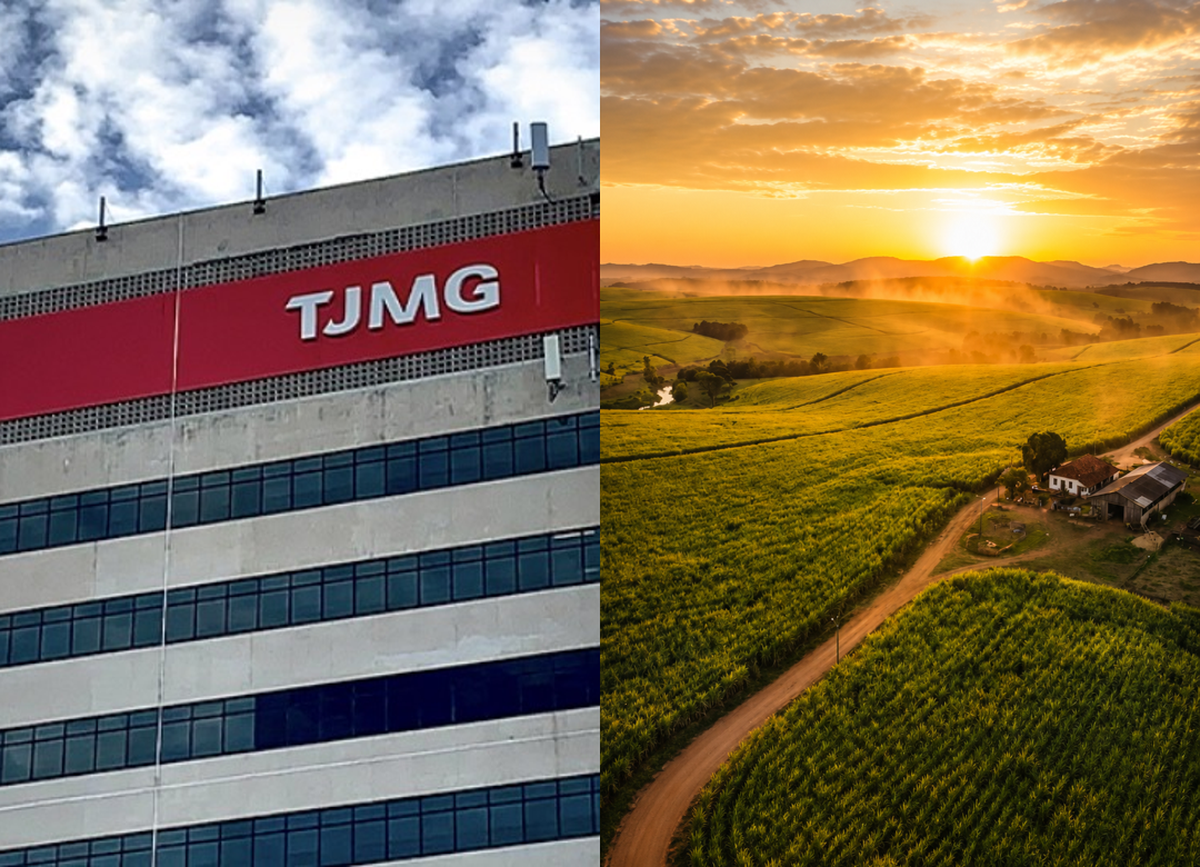 TJMG suspende acordo do plano de RJ do Grupo Vitória e veda alienação de imóveis rurais