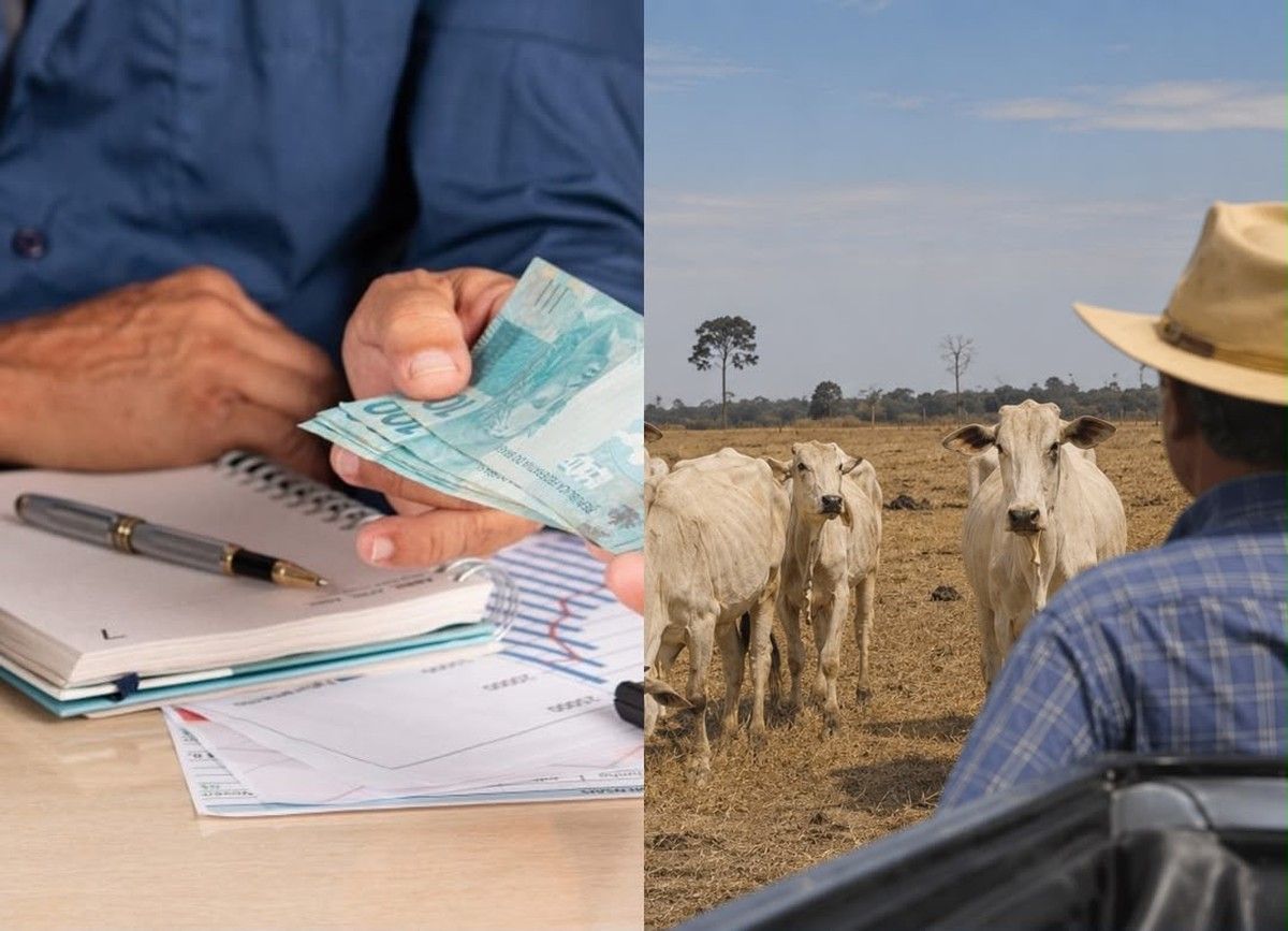 Produtor rural do Pará obtém suspensão de mora em cinco cédulas de crédito rural