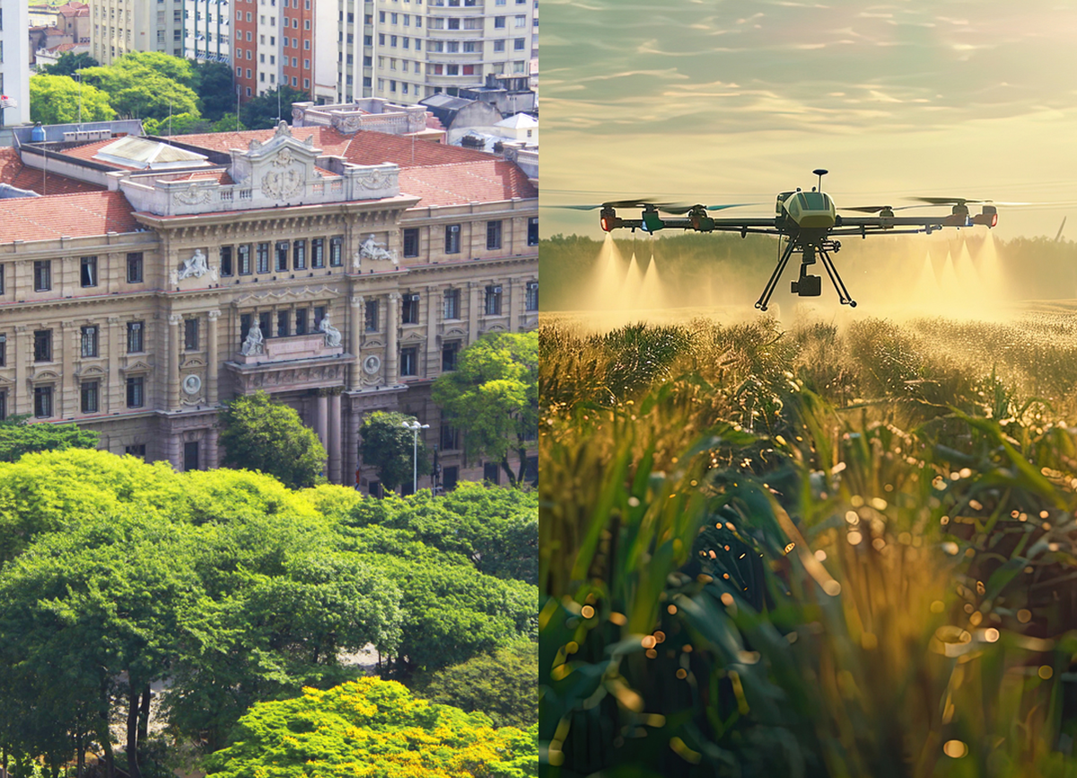 TJSP mantém indenização de R$ 2,4 milhões a usina sucroalcooleira por dano ambiental em pulverização aérea 