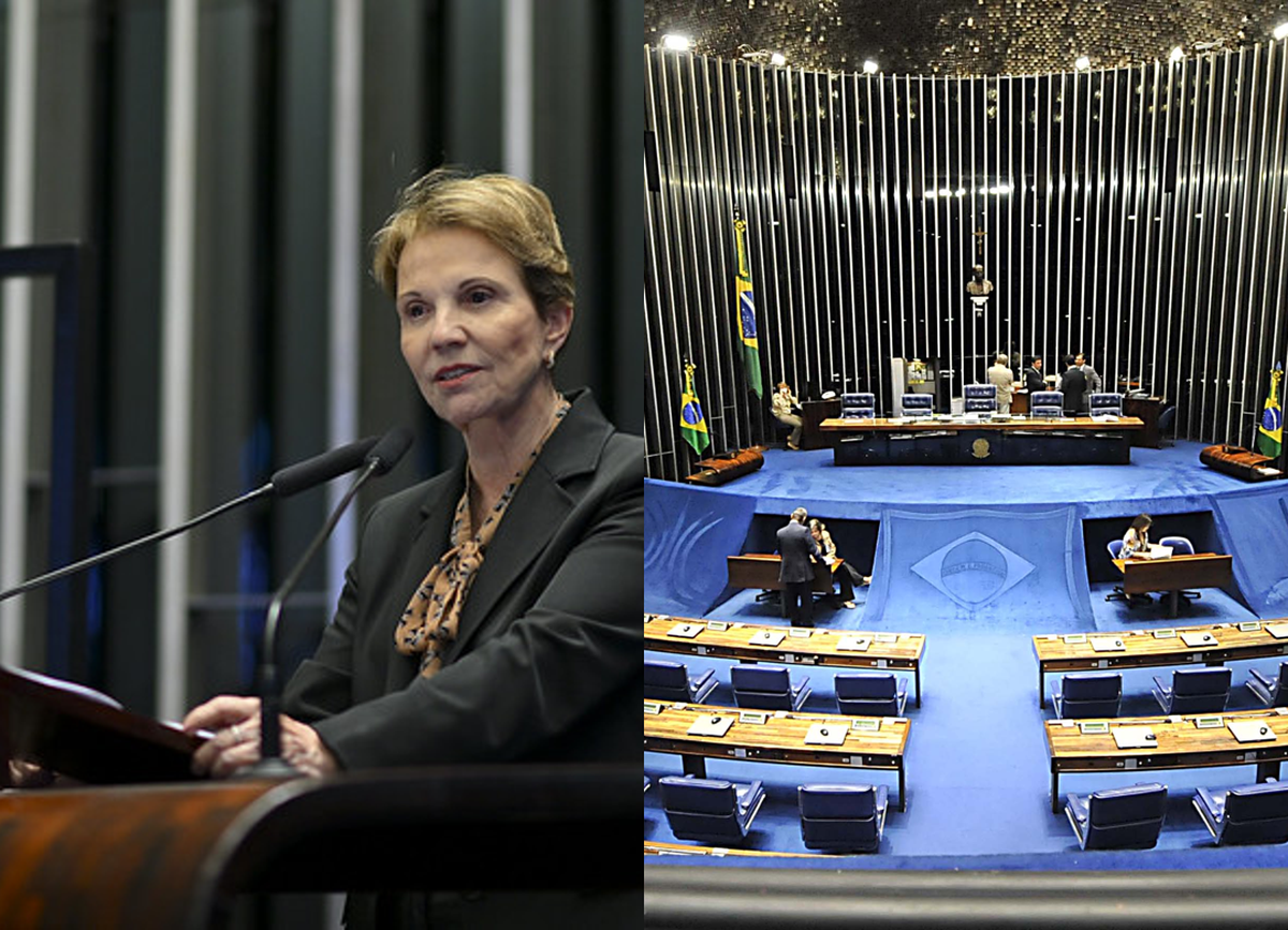 Senado aprova urgência do PL 2.951 que cria novo marco do Seguro Rural