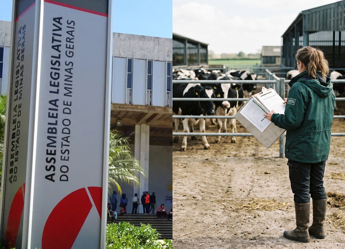 Nova lei impõe 7 sanções a produtores rurais que descumprirem normas sanitárias em MG