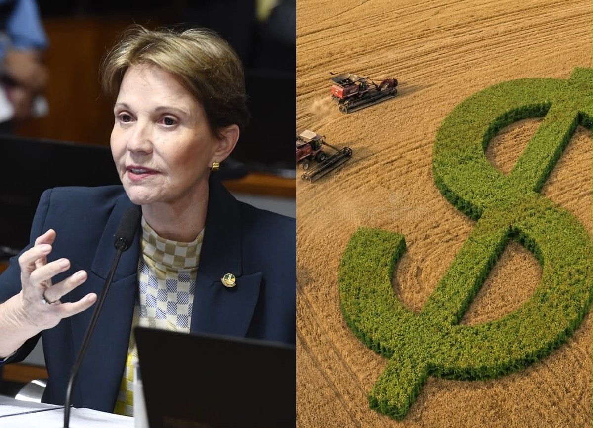 Seguro Rural pode ser votado no Senado em agosto sob risco de veto