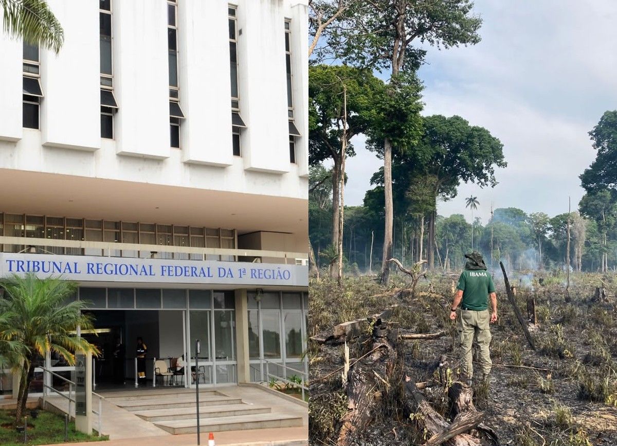 TRF1 absolve produtor rural por falta de prova judicial em crime ambiental