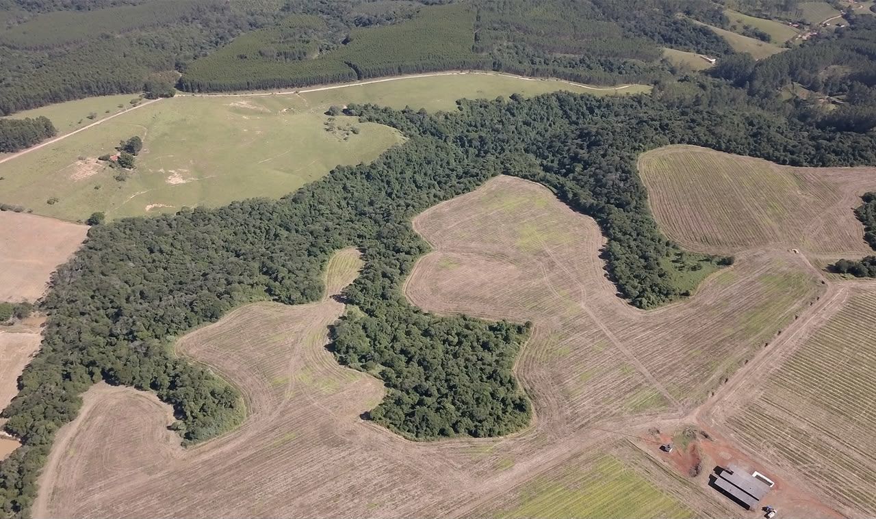 Da tribuna do IRDR 94: uma aula de processo sancionador ambiental