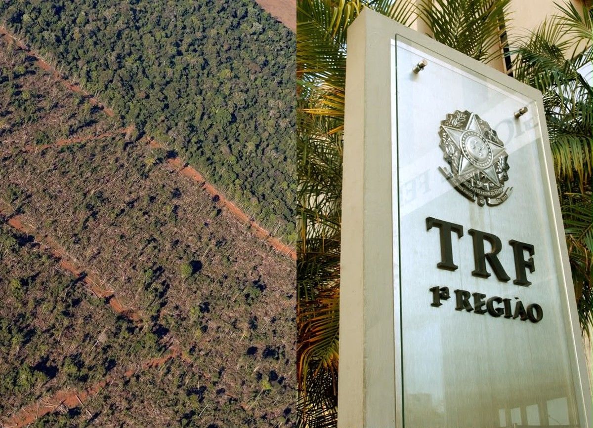 TRF1 fixa tese que extingue embargo ambiental prescrito em 13 unidades federativas