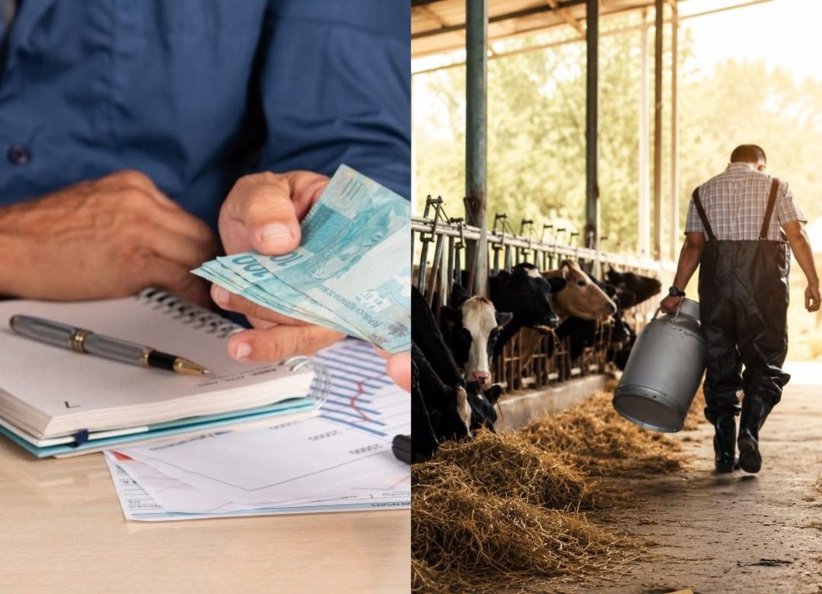 </p><p>Justiça do RS reduz juros acima do limite legal e alonga dívida rural em 5 anos