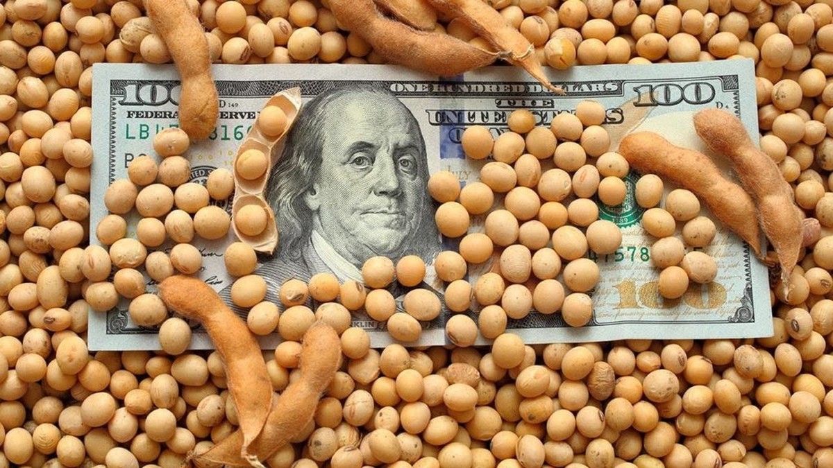 O preço das commodities agrícolas não surge nas Bolsas