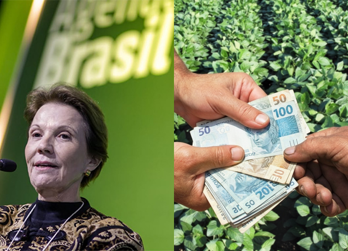 Senadora Tereza Cristina relaciona despesas públicas ao encarecimento do crédito rural