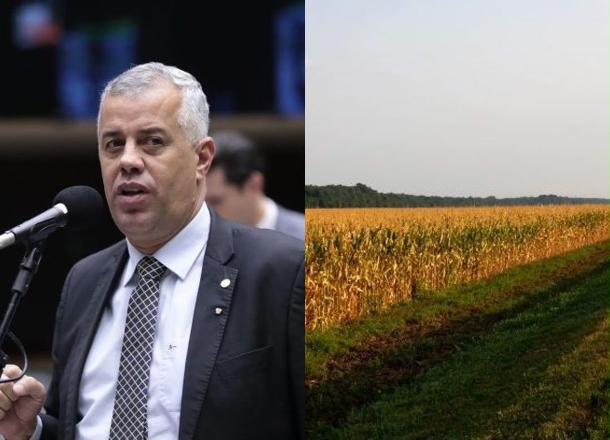 Câmara analisa projeto que libera lavoura temporária às margens de rodovias 