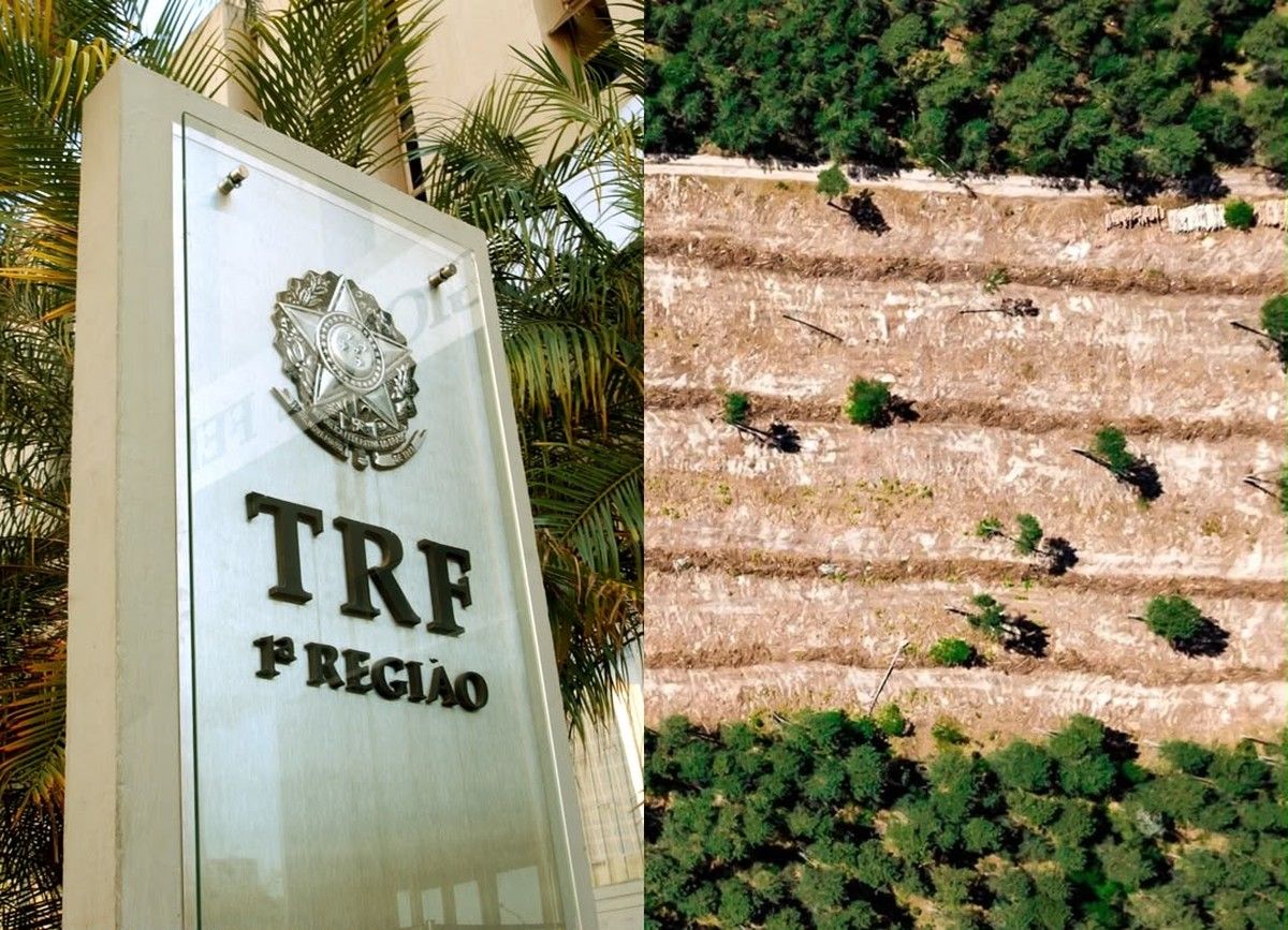 TRF1 anula embargo do IBAMA mantido por quase duas décadas após prescrição administrativa</p><p>