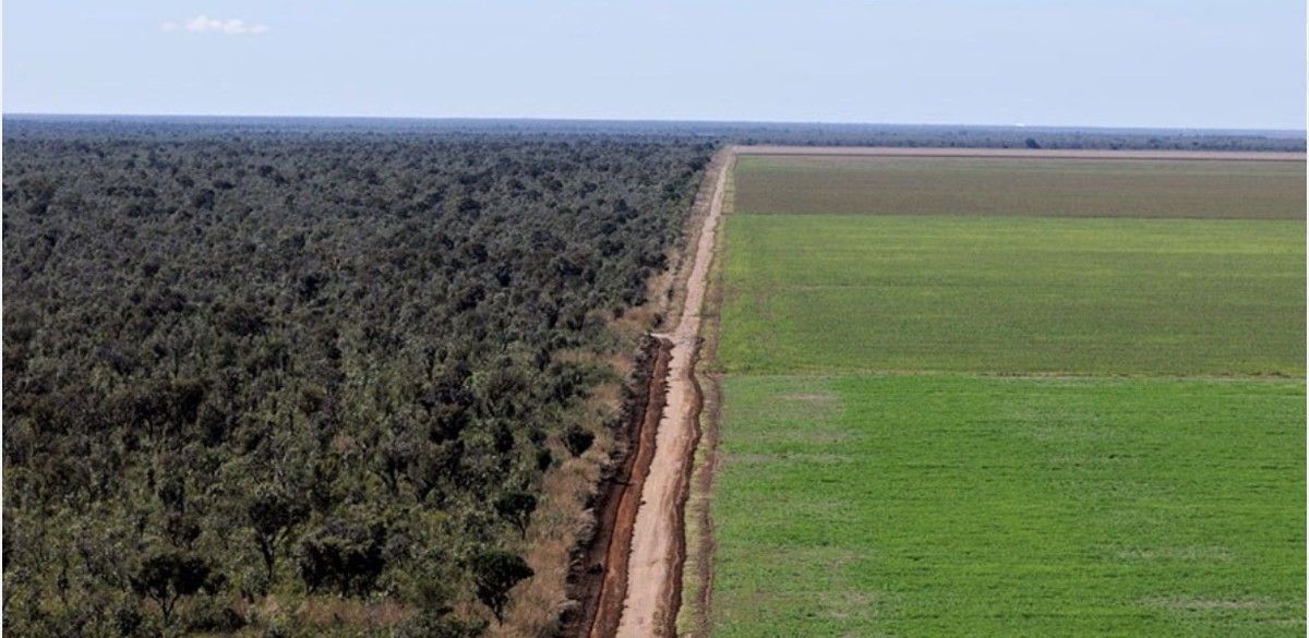 Causa e consequência da insegurança ambiental no Brasil
