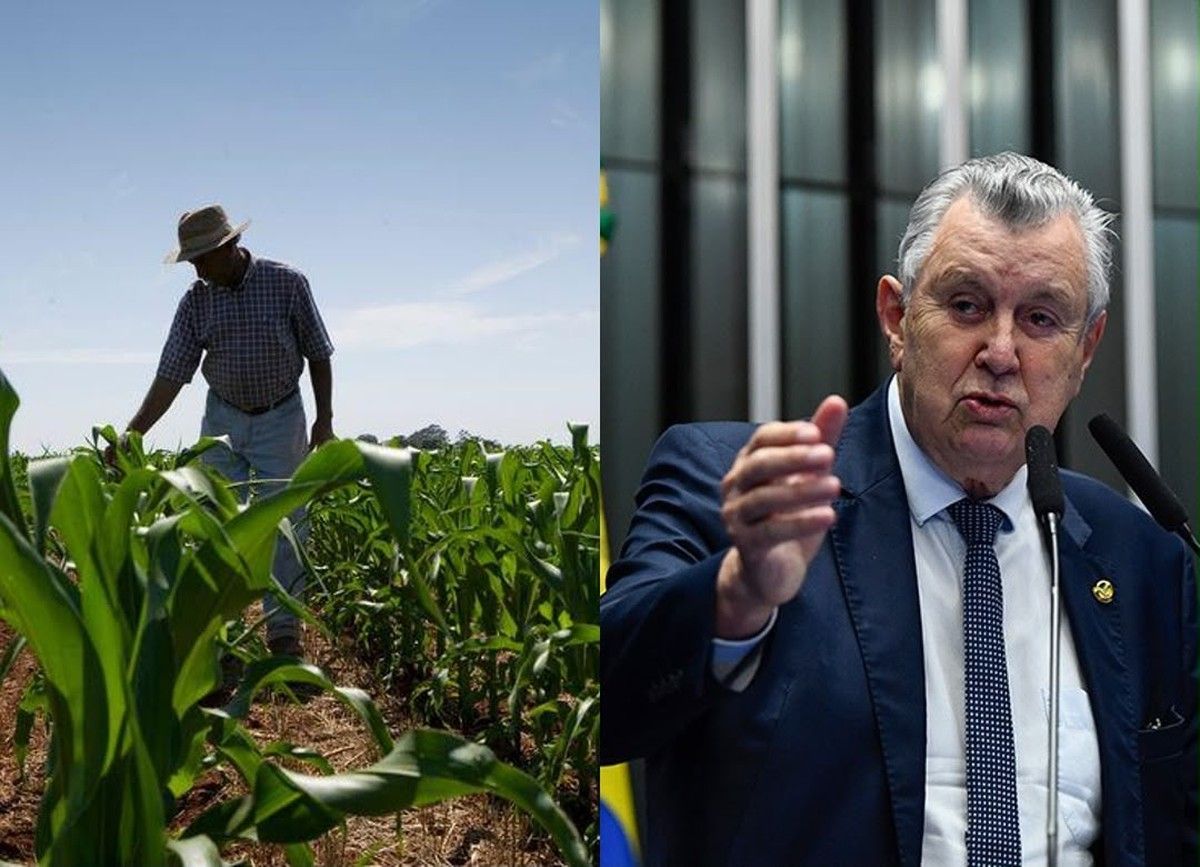 CRA  pode votar estímulos para agricultura regenerativa</p><p>