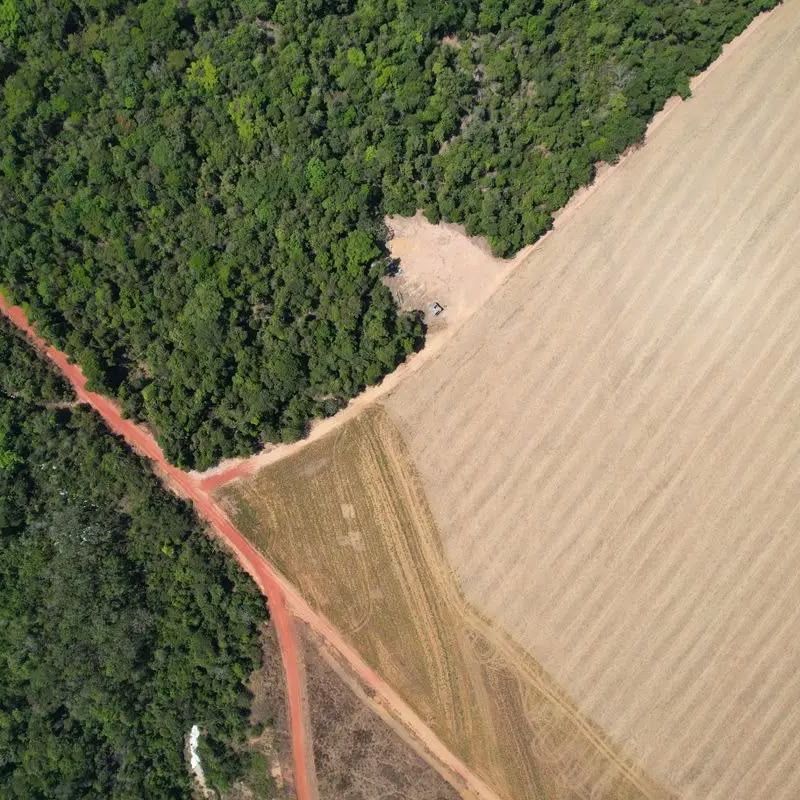 Sua terra, seu direito: o que o dono da propriedade deve saber sobre a remuneração pela exploração mineral em seu imóvel 