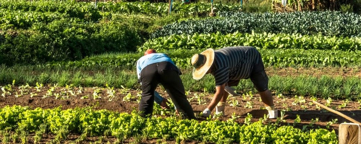 Agricultura familiar não é ideologia, tem nome e sobrenome: Fé e Trabalho