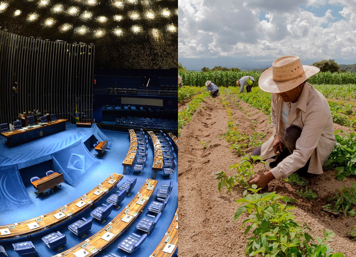 Comissão altera requisitos de enquadramento de povos tradicionais na agricultura familiar