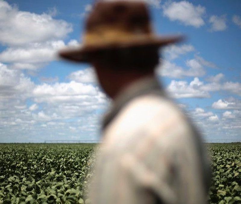 Seguro rural: quando a negativa da indenização pode ser contestada judicialmente?