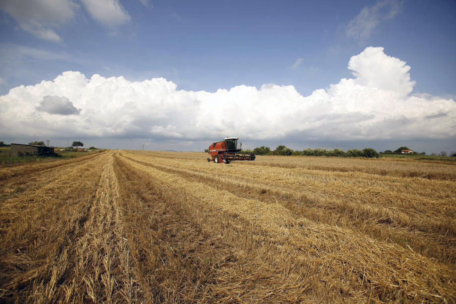 A produção de obras de Direito Agrário pela FAO e sua contribuição para o desenvolvimento das nações