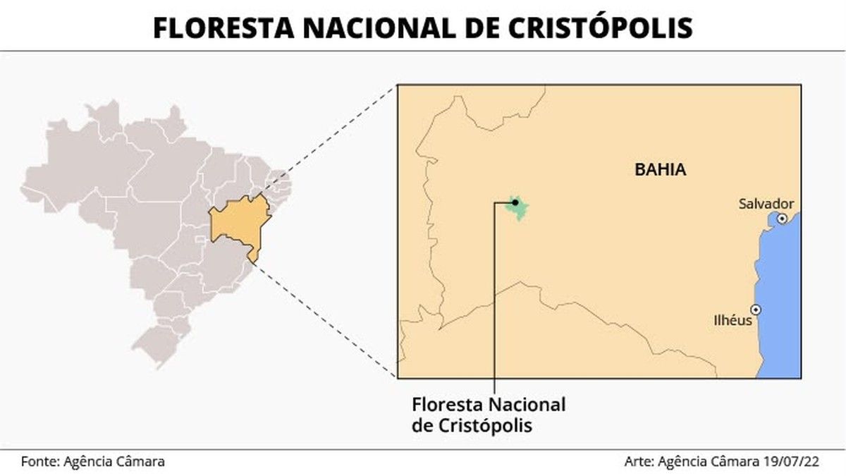 Área nunca implantada: lei anula Floresta Nacional criada por decreto em 2001 na Bahia