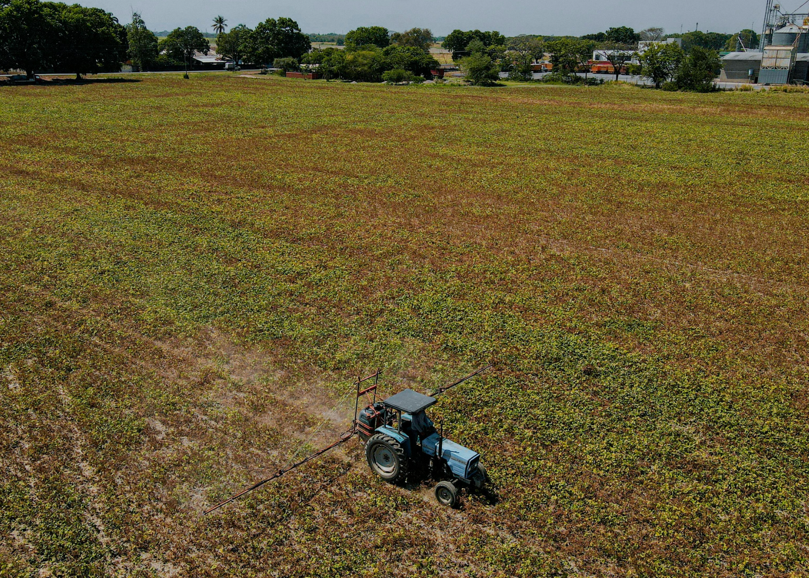Como fazer o pedido administrativo de prorrogação do crédito rural?