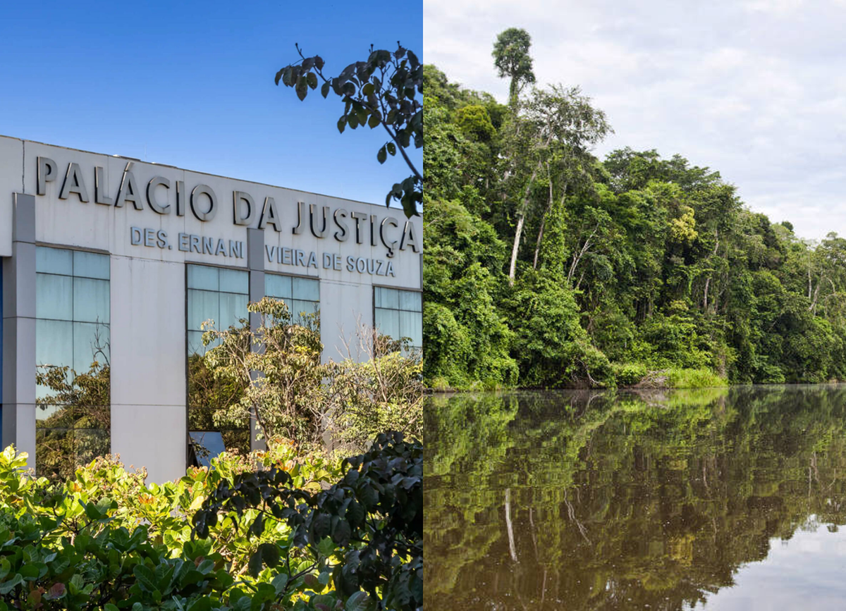 TJMT mantém usucapião de fazenda situada em área de proteção ambiental
