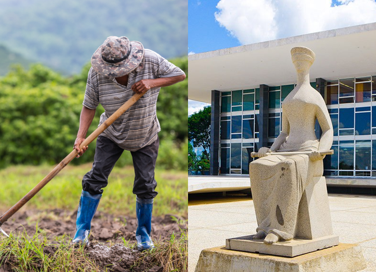 STF derruba cobrança do Funrural até o fim de 2017 