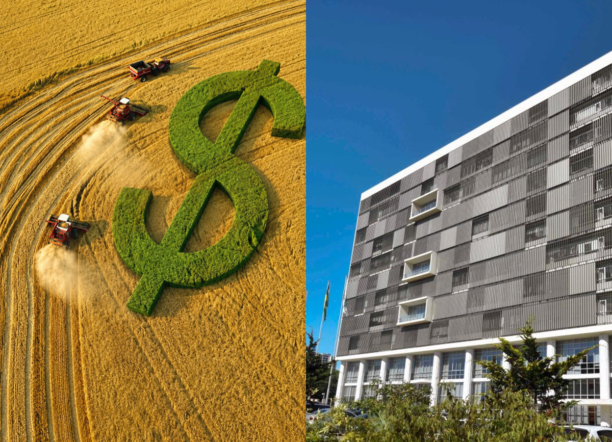TJPR reduz multa de 10% para 2% em cobrança de crédito rural