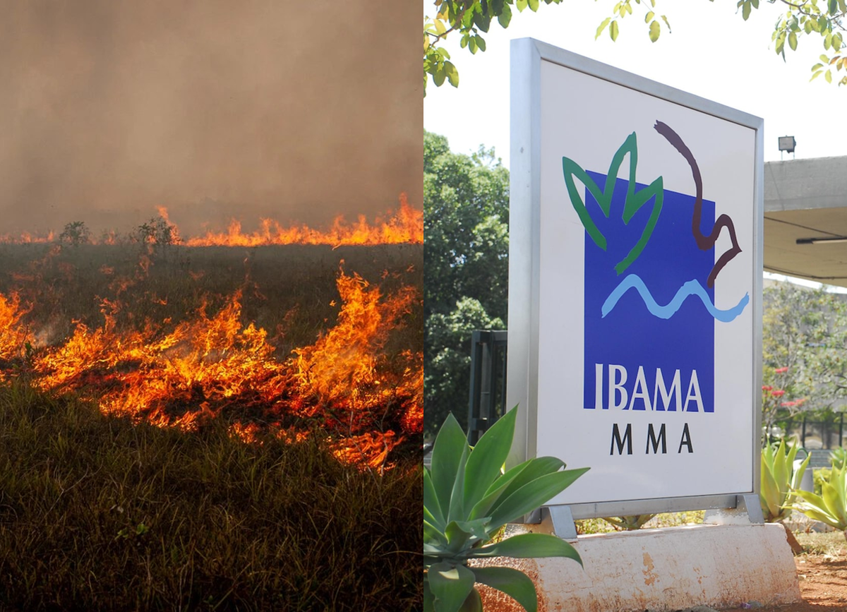 Ibama cobra prevenção de incêndios em 304 imóveis no Amazonas