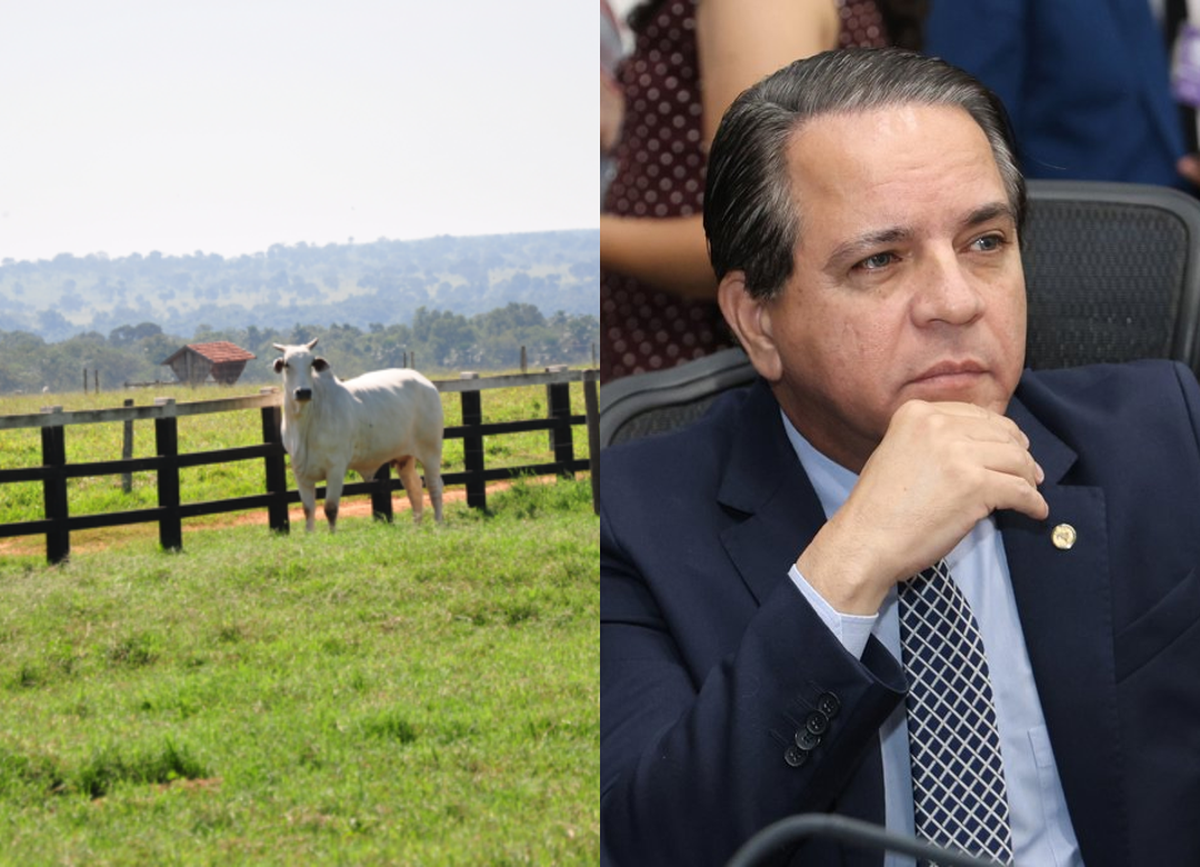 Abril Verde e Amarelo: Lei 6.645 prevê campanha anual sobre defesa da propriedade privada em Mato Grosso do Sul