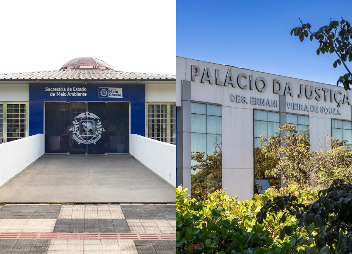 TJMT obriga SEMA a concluir análise de projeto de tipologia vegetal após demora administrativa