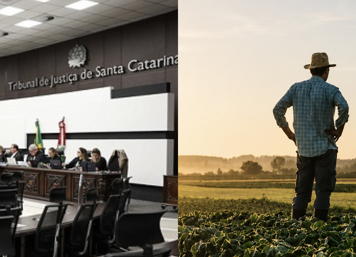 Justiça de Santa Catarina concede tutela de urgência para retirar produtor rural de cadastros de inadimplentes