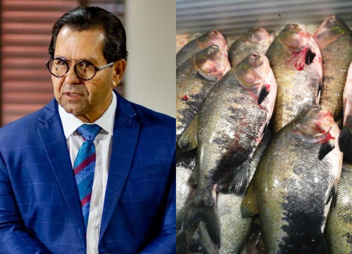 Juiz concede recuperação judicial ao Grupo Rei Fish mesmo sem maioria por credor