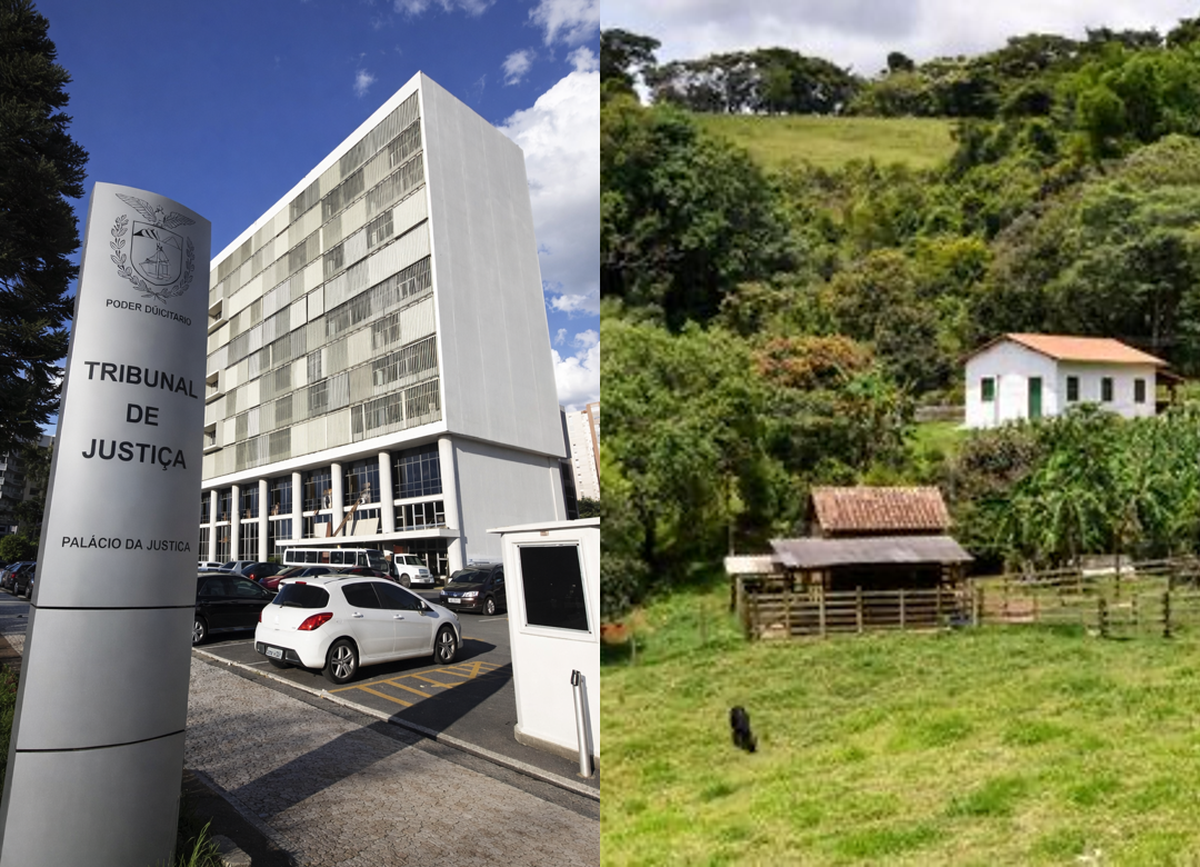 TJPR mantém proteção de pequenas propriedades rurais contra penhora