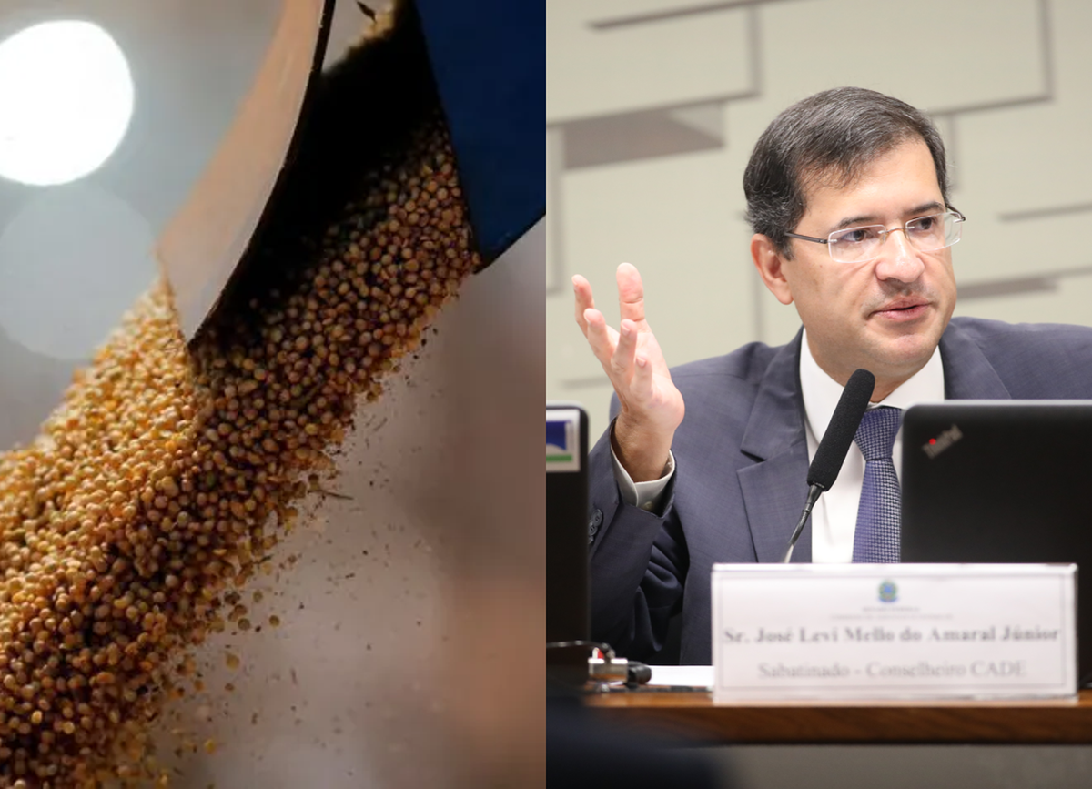 Cade nega embargos da Aprosoja/MT e mantém extinção de processo da Moratória da Soja