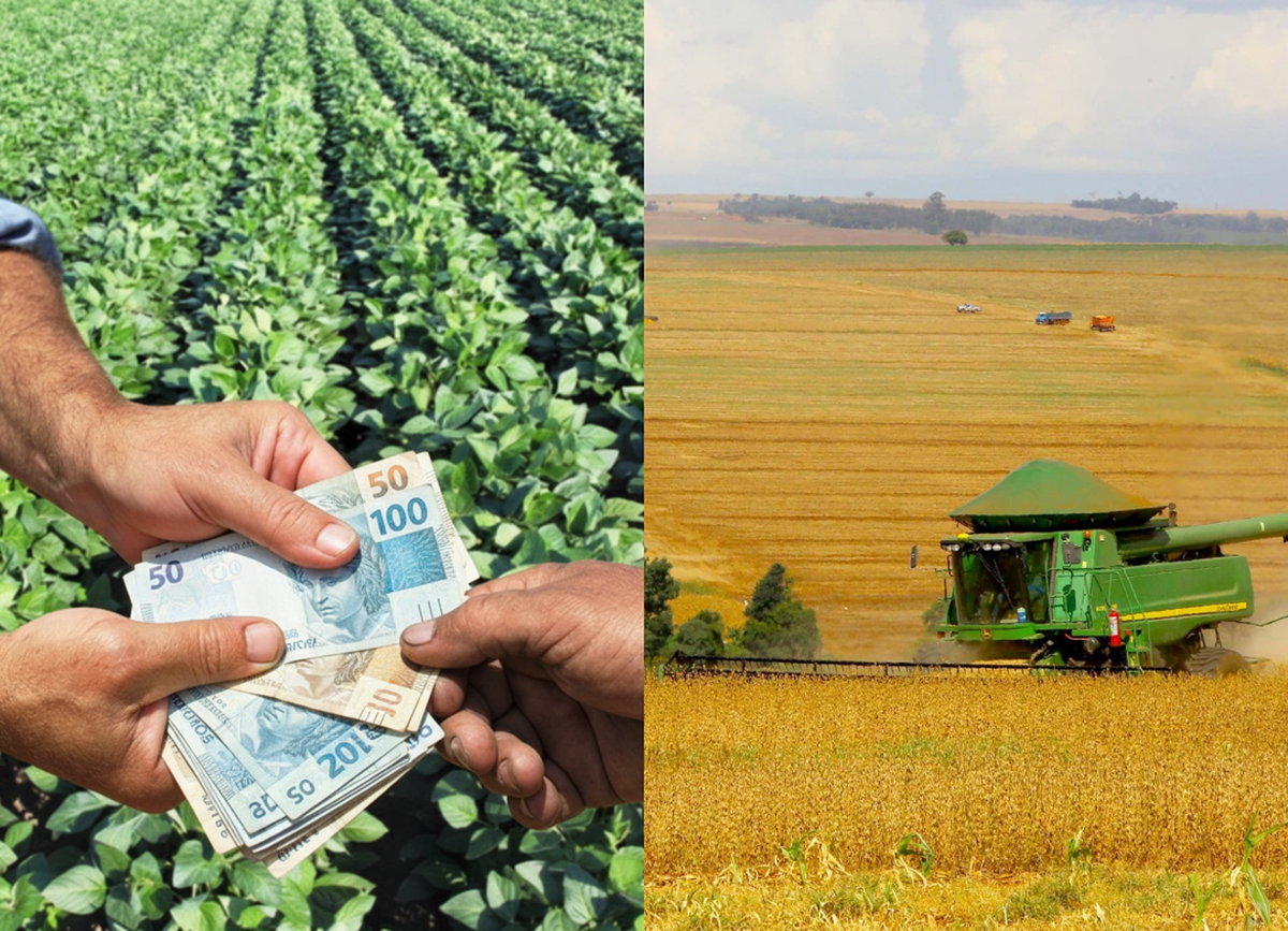 Produtor rural obtém tutela cautelar que suspende exigibilidade e impede leilão de garantias 