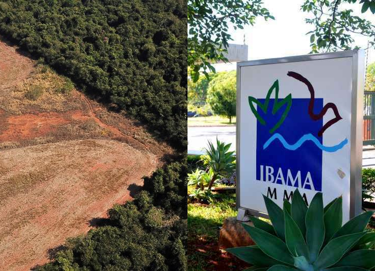 Justiça anula embargo do Ibama sobre fazenda em Mato Grosso