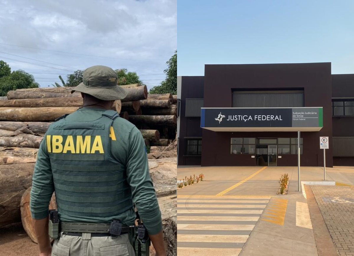 Justiça Federal em Sinop/MT mantém embargo do Ibama sem vistoria presencial, mas ressalva que a medida não pode ser indefinida