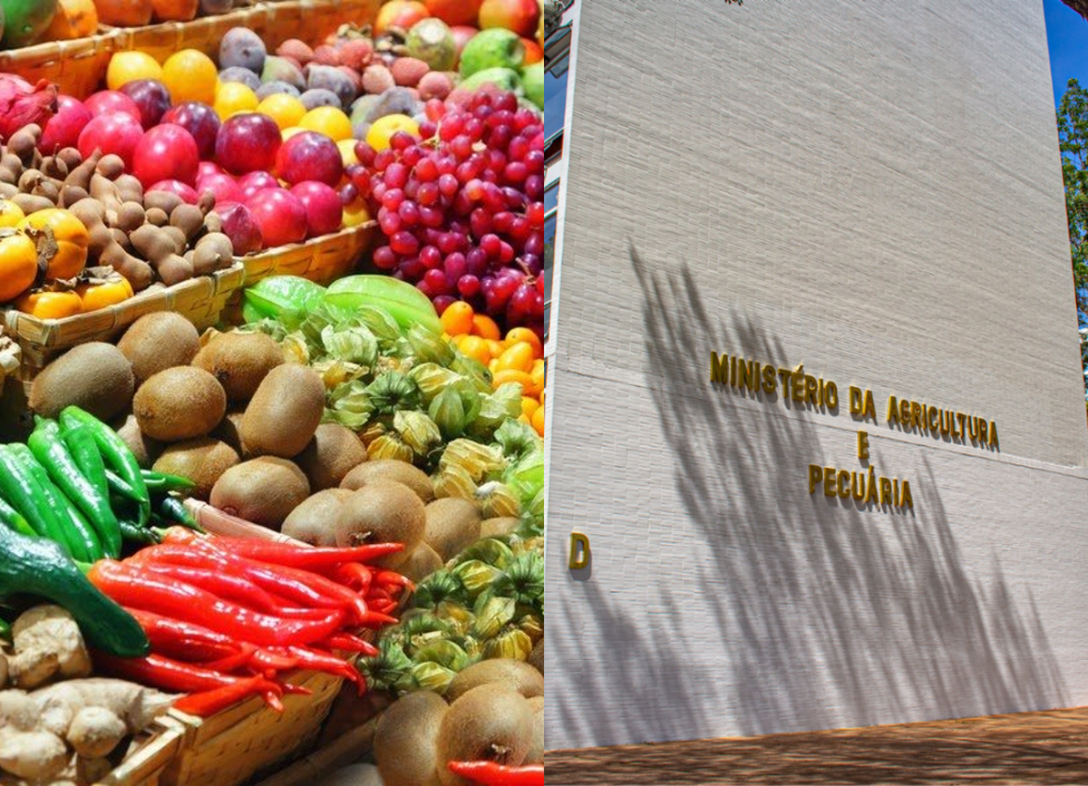 Novas regras para certificação e trânsito de vegetais são adiadas por mais 180 dias